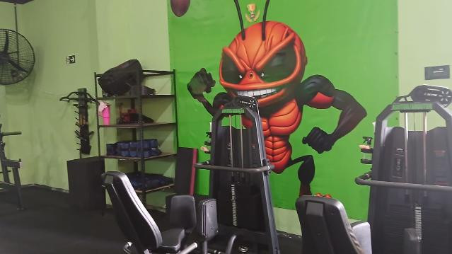 Imagem 1 da galeria do parceiro ANT Fitness Praia do Futuro