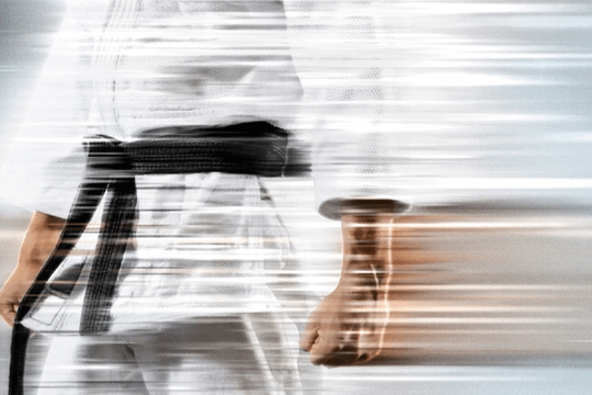 Image 1 from The Karate Dojo partner gallery