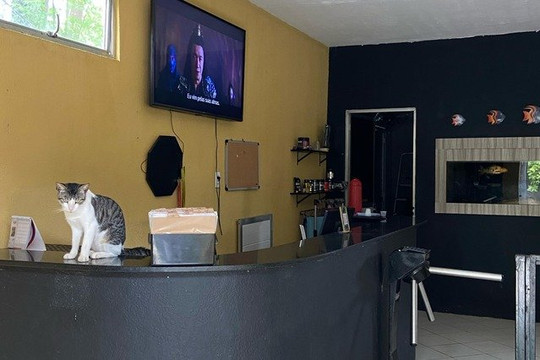 Imagem 3 da galeria do parceiro JG FITNESS ACADEMIA