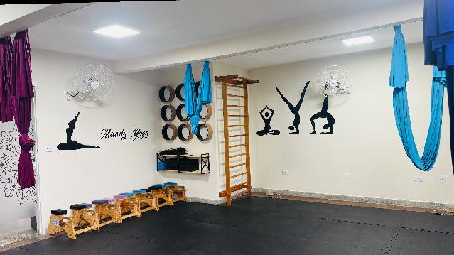 Imagem 1 da galeria do parceiro Estudio Mandy Yoga Acroyoga