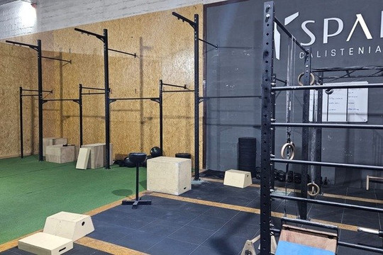 Imagem 1 da galeria do parceiro Sparta Calistenia e Cross Training