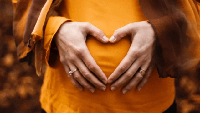 Bild 1 von SattvaLandYoga Partnergalerie