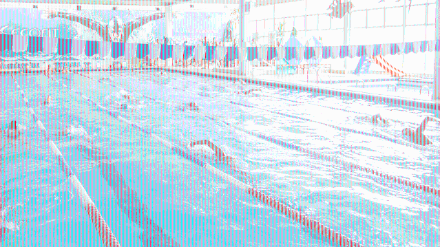 Imagem 1 da galeria do parceiro Ecofit