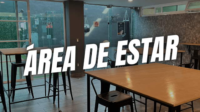 Imagen 3 de la galería del partner TRYHARD GYM