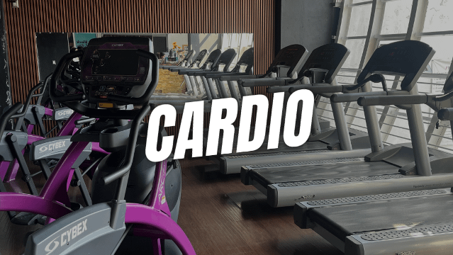 Imagen 1 de la galería del partner TRYHARD GYM