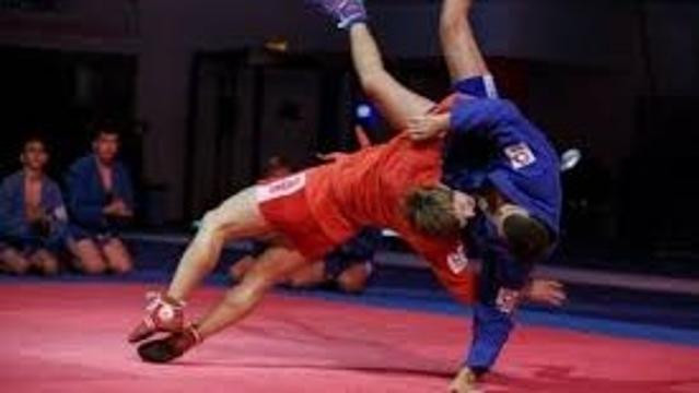 Image 1 from Sambo 7 MMA partner gallery