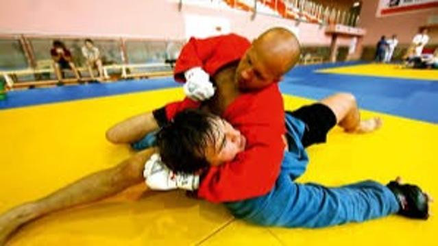 Image 3 from Sambo 7 MMA partner gallery