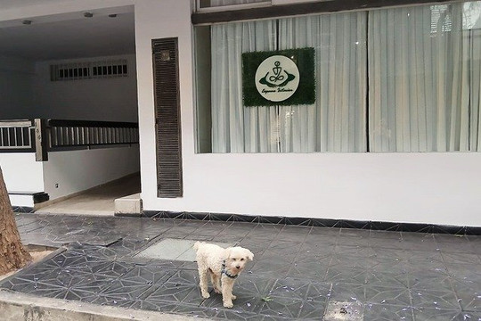 Imagen 2 de la galería del partner Espacio Interior Vital