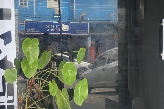 Imagem 2 da galeria do parceiro Sarayu Ozonioterapia Saúde e Estética