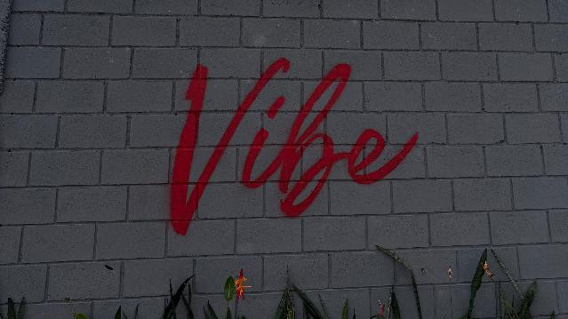 Imagem 2 da galeria do parceiro Vs Vibe