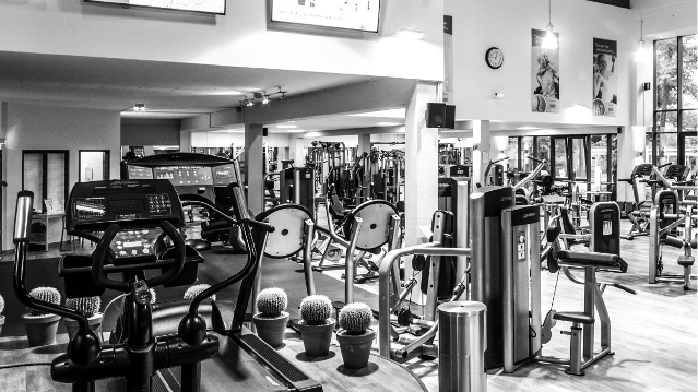 Bild 3 von SFC - Squash und Fitness Center Magdeburg Partnergalerie