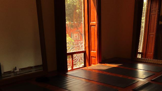 Imagen 1 de la galería del partner Poppy Wellness Studio