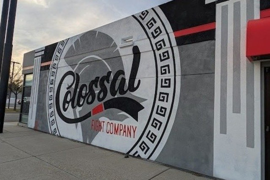 Image 2 from Colossal Fight Company partner gallery