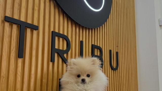 Imagen 2 de la galería del partner Tribu Barre