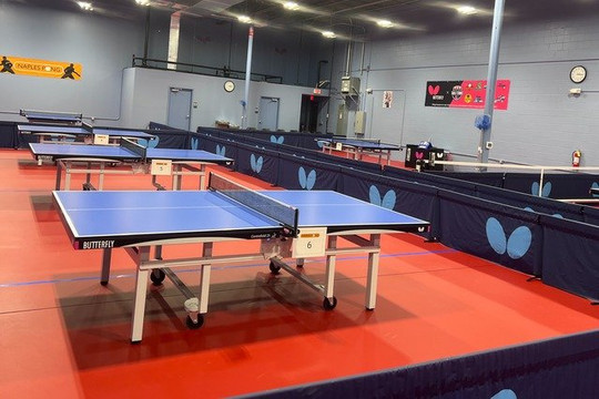 Image 1 from Naples Pong partner gallery