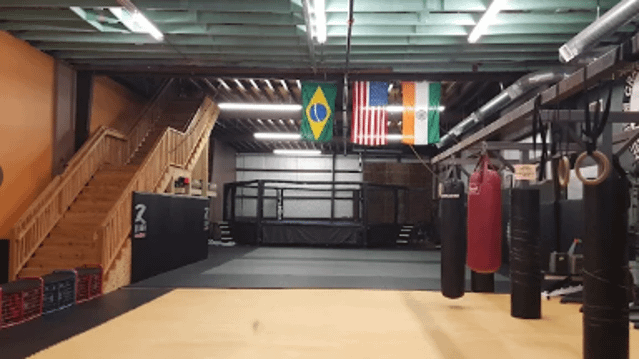 Image 1 from Urban Jungle partner gallery