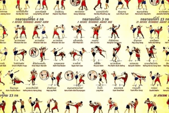 Imagem 3 da galeria do parceiro MR07 Training Center