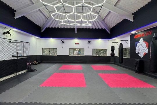 Imagem 1 da galeria do parceiro Arena da Luta