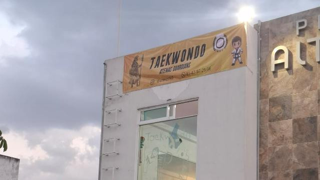 Imagen 2 de la galería del partner Atenas Guardians Taekwondo