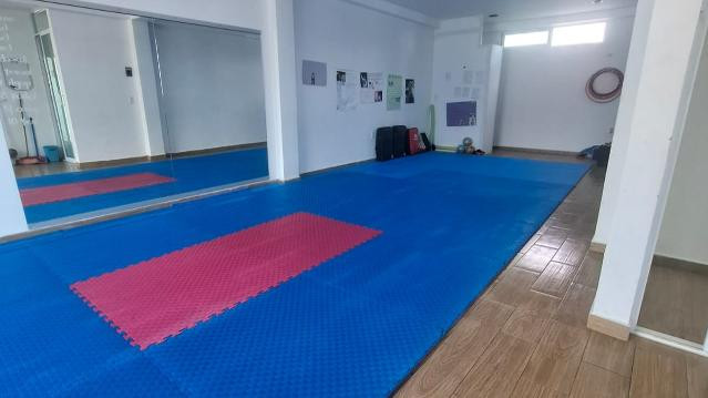 Imagen 3 de la galería del partner Atenas Guardians Taekwondo