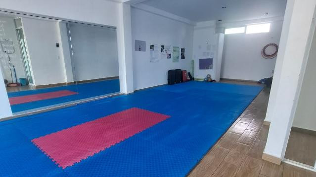 Imagen 1 de la galería del partner Atenas Guardians Taekwondo