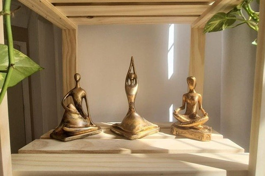 Imagem 3 da galeria do parceiro Shala Yoga Studio de Yoga e Meditação