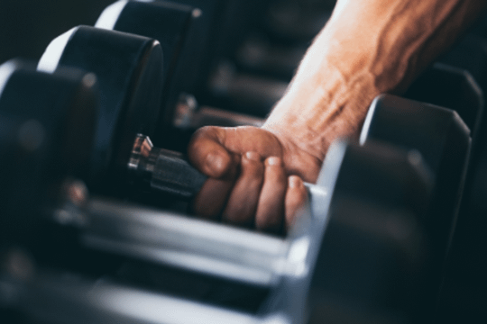 Imagem 3 da galeria do parceiro Sasaki Fit