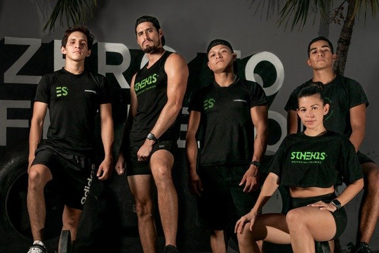 Imagen 1 de la galería del partner Sthenos