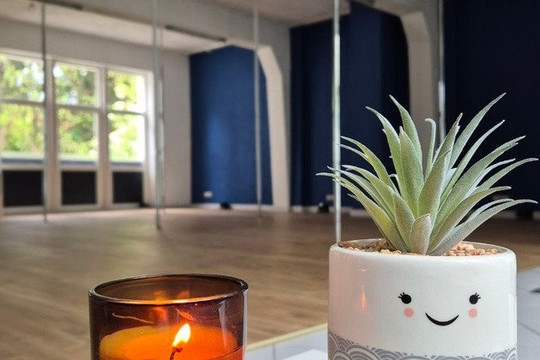 Bild 3 von Pole Faction Studio Mannheim Partnergalerie