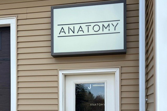 Image 2 from Anatomy partner gallery