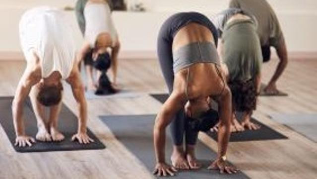 Image 1 from Root & Rise partner gallery