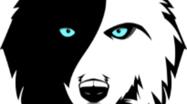 Image 3 from Fearvana Yoga partner gallery