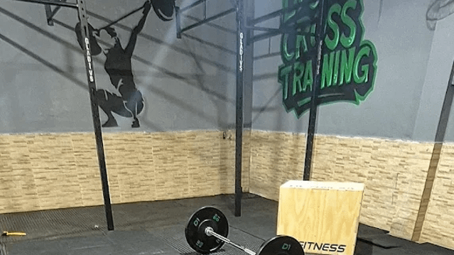 Imagem 1 da galeria do parceiro Lion Cross Training