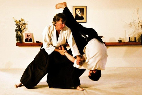 Image 1 from Aikido Schools of New Jersey partner gallery