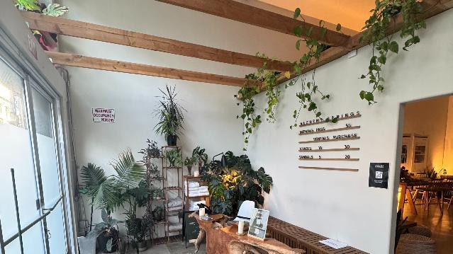 Image 2 from Alchemy Springs & Sauna Garden partner gallery