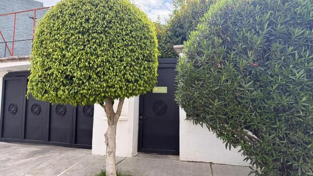 Imagen 2 de la galería del partner Viva Yoga Estudio