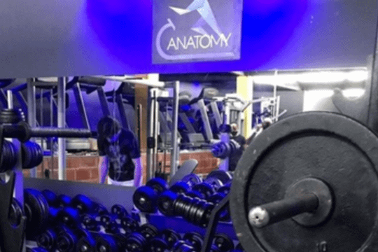 Imagem 1 da galeria do parceiro Academia Anatomy - Quitandinha