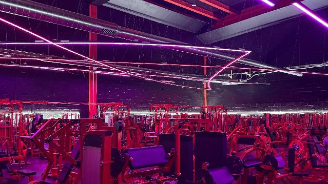 Imagen 1 de la galería del partner Magma Muscle Factory