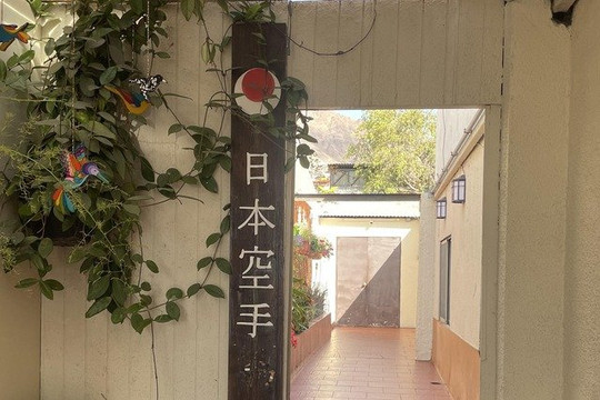 Imagen 2 de la galería del partner Jinseikan Karate Dojo