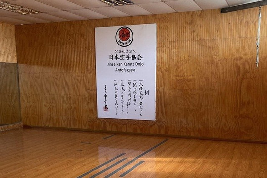 Imagen 1 de la galería del partner Jinseikan Karate Dojo