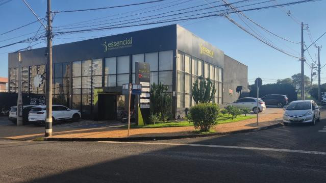 Imagem 2 da galeria do parceiro Conviver - Fisioterapia e Pilates
