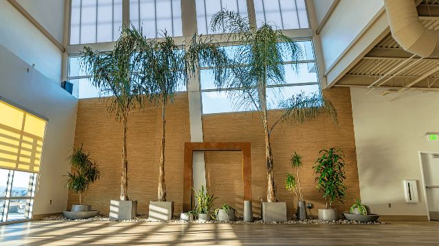 Image 3 from Lotus Studio Fitness & Wellness partner gallery