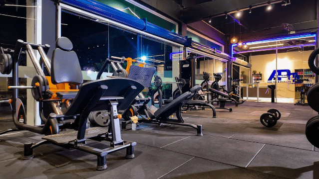 Imagem 1 da galeria do parceiro Ale Porfírio Fitness e Saúde