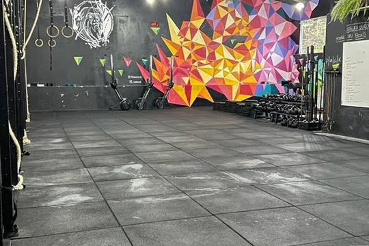 Imagem 1 da galeria do parceiro Alouatta Fit