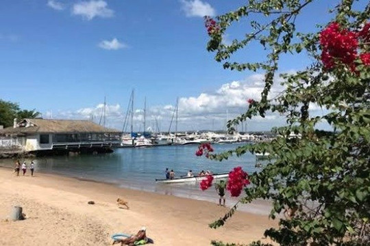 Imagem 2 da galeria do parceiro Áries VA’A Clube de Canoa Havaiana