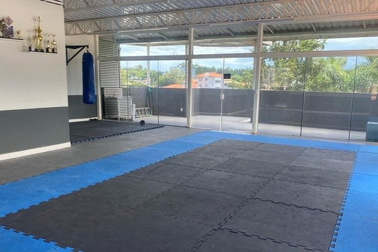 Imagem 1 da galeria do parceiro CT Warshield Fight Team