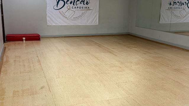 Image 3 from Capoeira Austin partner gallery