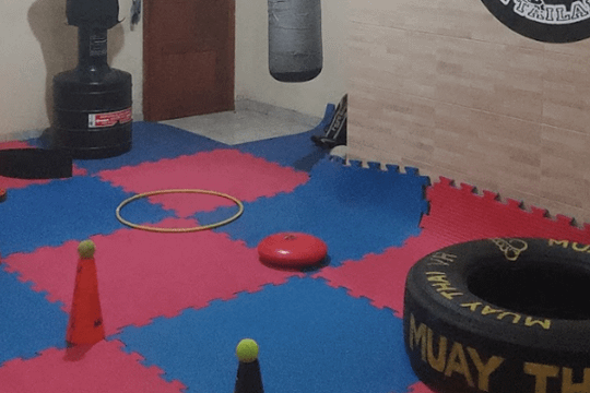 Imagem 1 da galeria do parceiro CT Muay Thai VR
