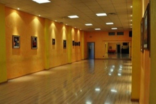 Immagine 3 dalla galleria del partner Show Dance Club