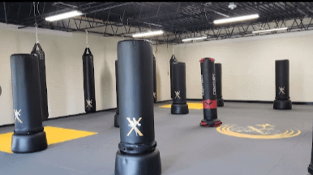 Image 3 from Invicta KickboxingX, partner gallery